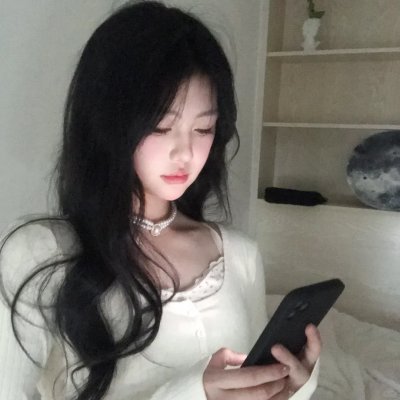 假元首秘纪